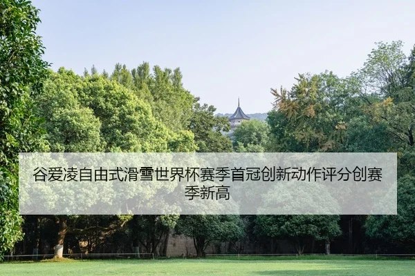 gu-ai-ling-zi-you-shi-hua-xue-shi-jie-bei-sai-ji-shou-guan-chuang-xin-dong-zuo-ping-fen-chuang-sai-ji-xin-gao-2-192.jpg